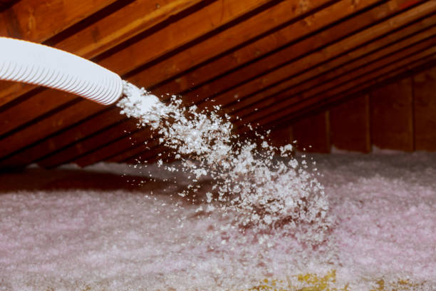 Best Attic Insulation Installation  in Locust Grove, GA